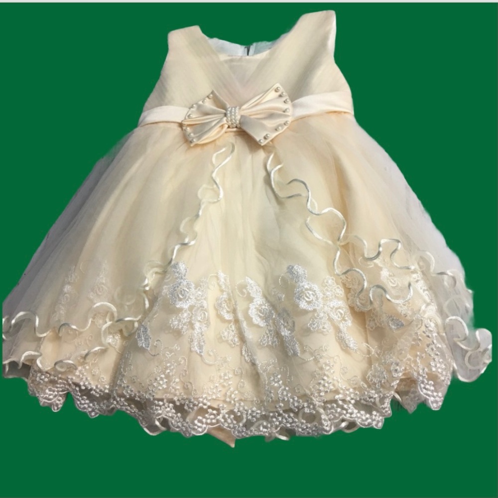 Flower Girls Dress Kids Party - Picture 1 of 12